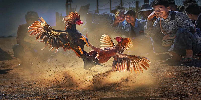 s8bet xổ số bữa nay
