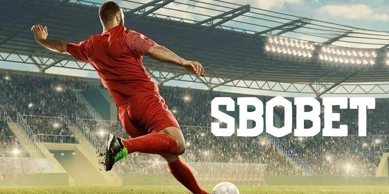 s8bet what is the best online casino for real money