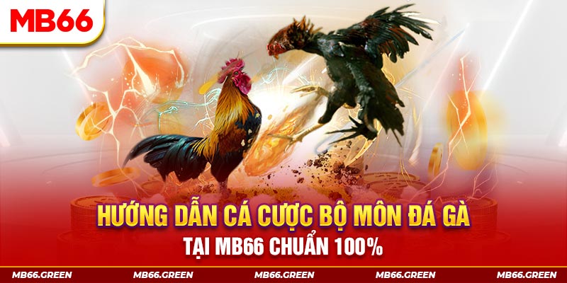 s8bet slot là gi