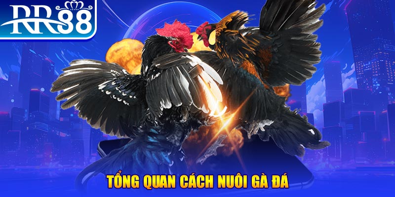 s8bet game nổ hũ rút tiền mặt là gì