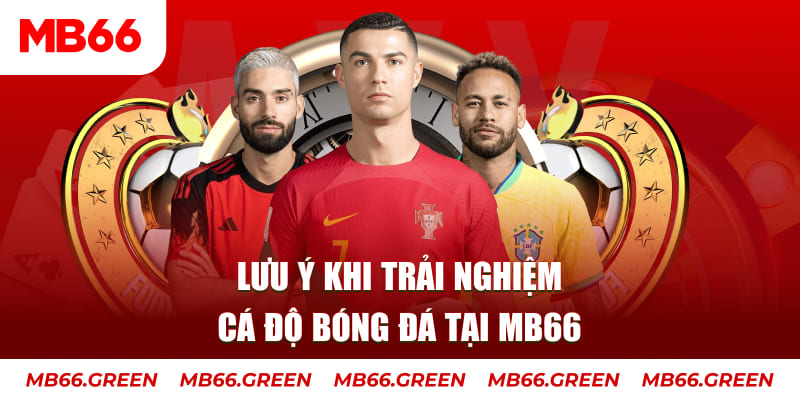 s8bet Ba viên xúc xắc