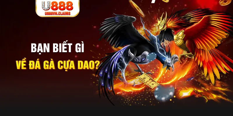 s8bet SW Xổ Số