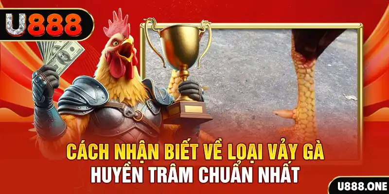 s8bet đăng nhập nổ hũ số 1