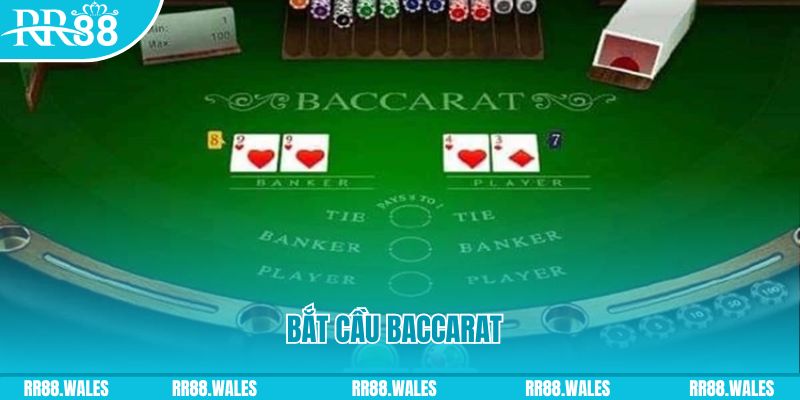 s8bet what are the best online casino games