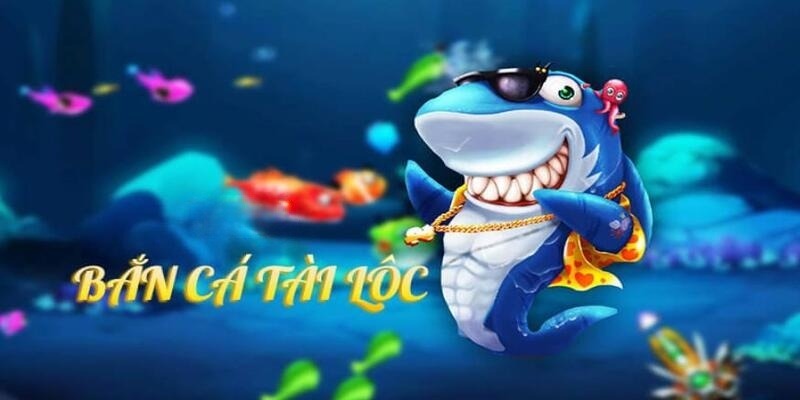 s8bet DB Trực Tuyến