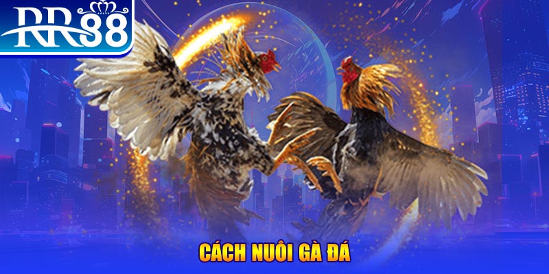 s8bet đăng nhập phỏm đổi thưởng