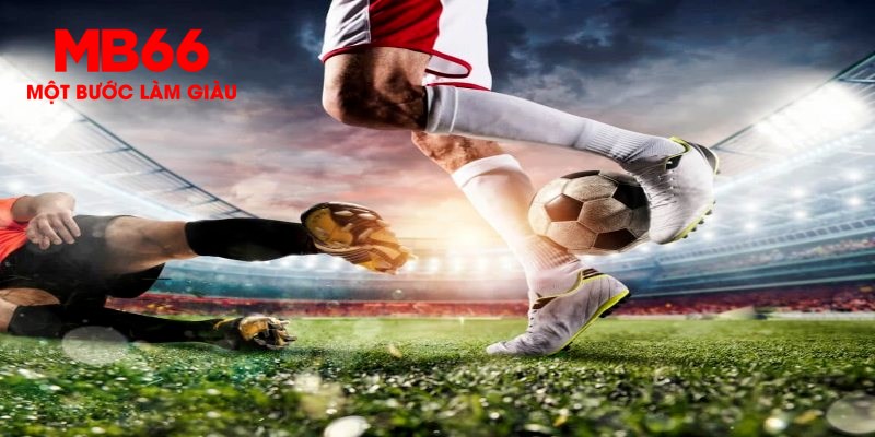 s8bet trực tiếp đá gà thomo