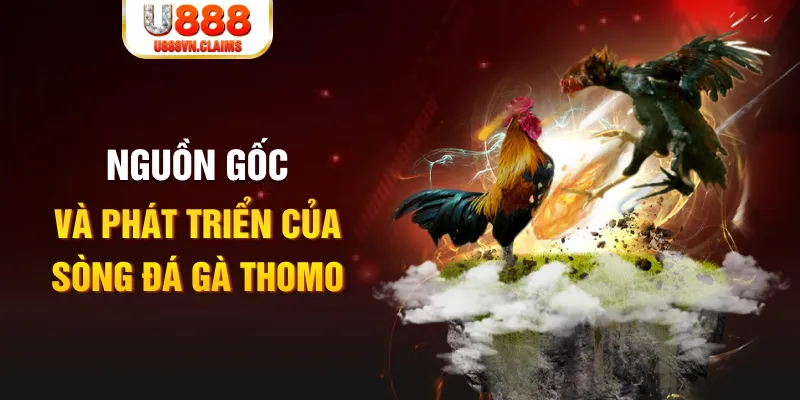 s8bet baccarat online la gì