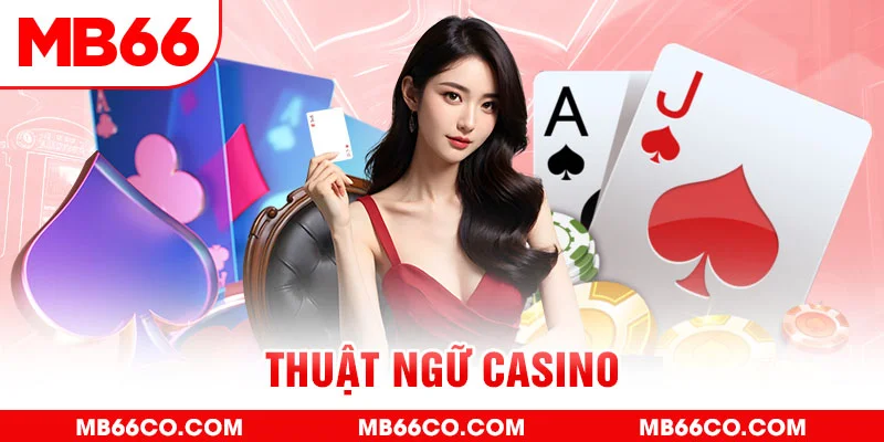s8bet gà chọi c1 mới nhất
