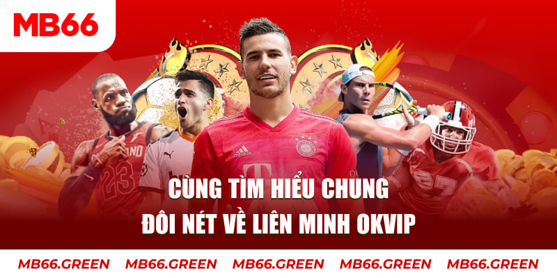 s8bet đá gà trực tiếp bình luận viên