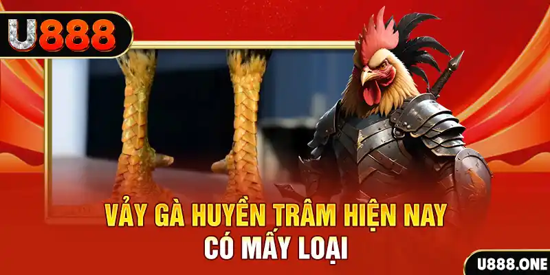 s8bet xổ số bình định