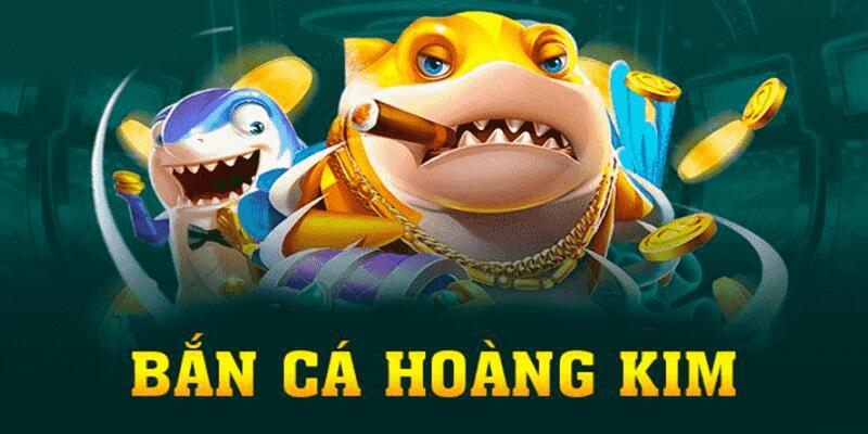 s8bet gà chọi cậu thanh