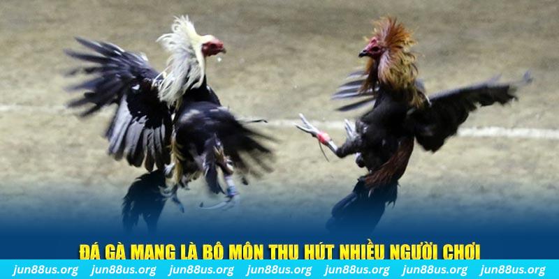 s8bet nổ hủ nghĩa là gì