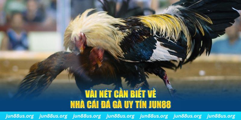 s8bet đăng nhập phỏm khuyến mãi