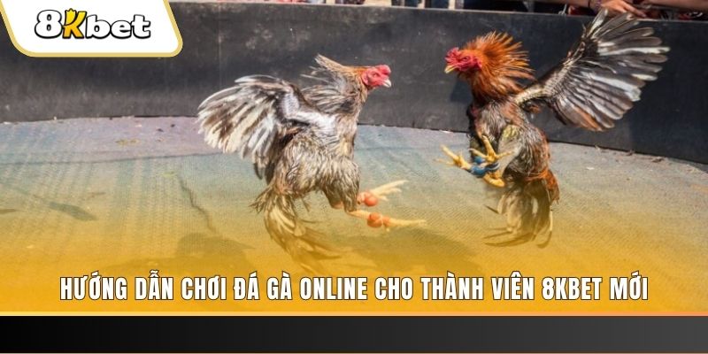 s8bet JILI Game Bài 3d