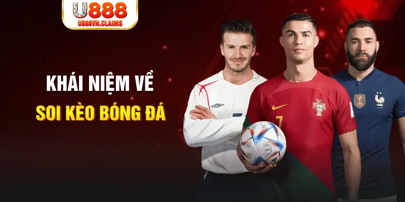 s8bet xổ số cần thơ