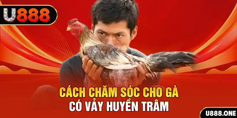 s8bet bắn cá xèng 3