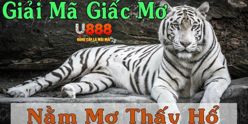 s8bet xổ số miền bắc xổ số miền bắc