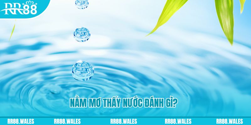 s8bet TCG Xổ Số