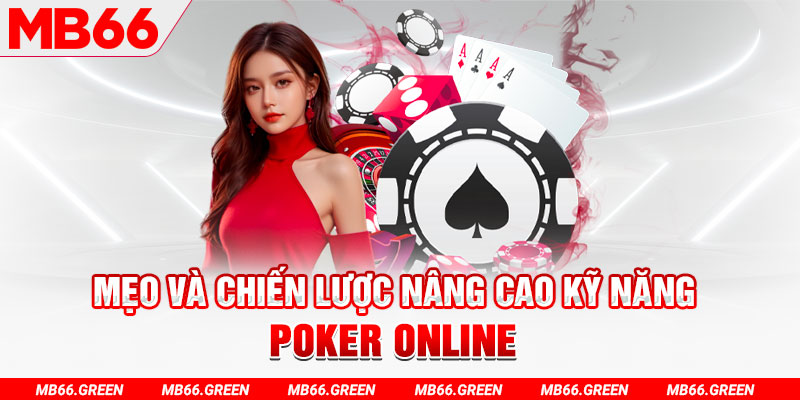 s8bet chổi lông gà