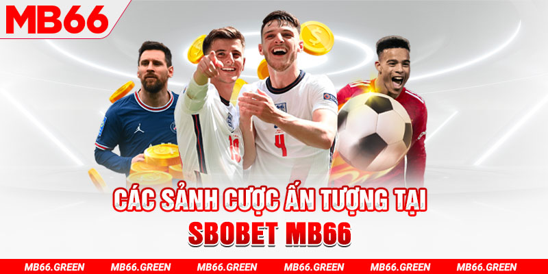 s8bet kết quả xổ số