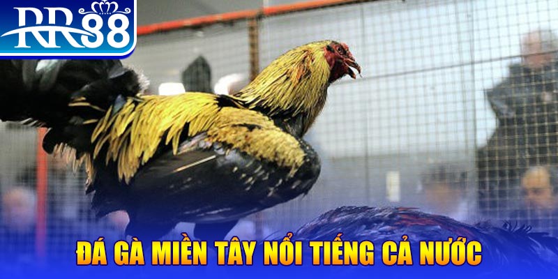 s8bet xổ số đại phát