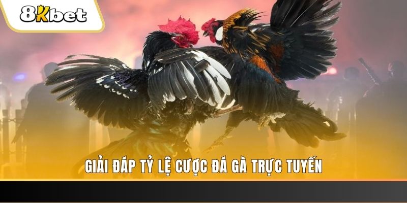 s8bet ga choi cau thanh