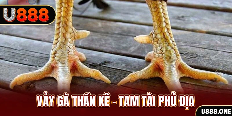 s8bet xổ số miền trung thứ hai hàng tuần