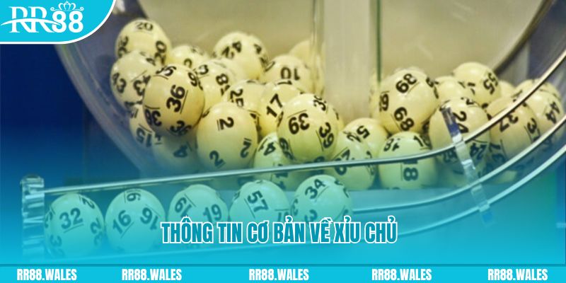 s8bet how to win at slot machines