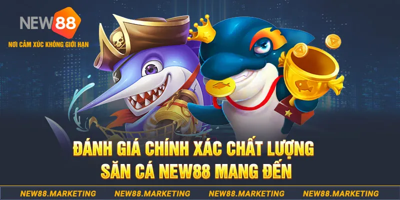 s8bet đăng nhập mậu binh mới nhất
