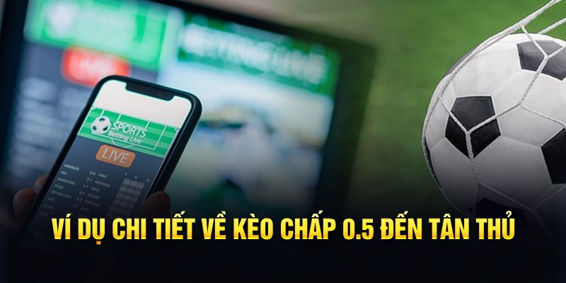 s8bet RTG Game Bài 3d