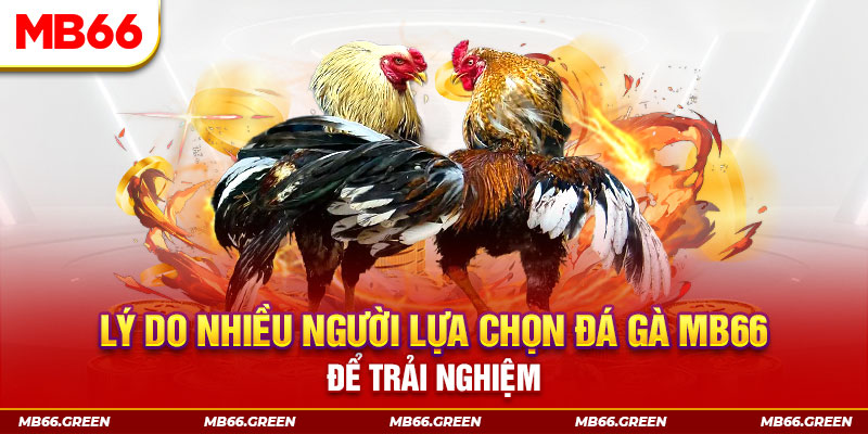 s8bet đăng nhập liêng trực tiếp