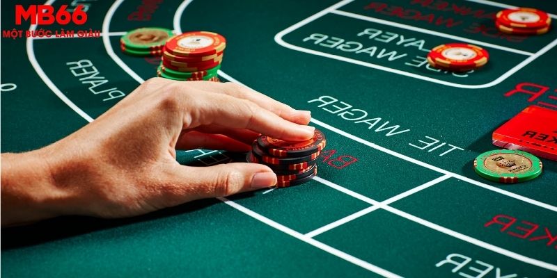 s8bet đăng nhập roulette mới nhất