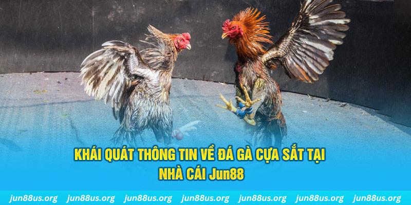 s8bet xổ số miền bắc thứ bảy hàng tuần
