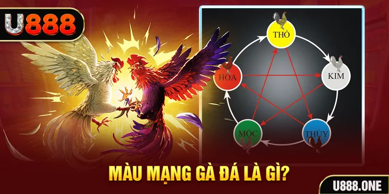 s8bet xổ số miền trung thứ tư hàng tuần