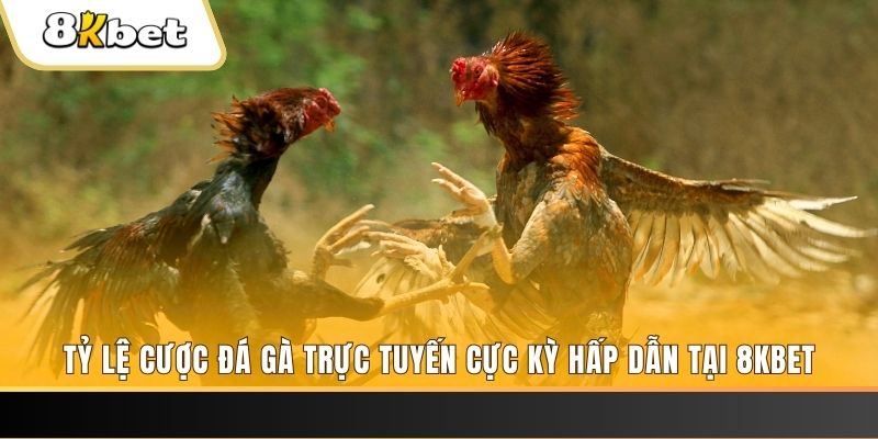 s8bet đăng nhập nổ hũ trực tuyến