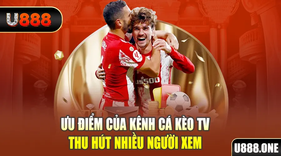 s8bet gà chọi cu cần