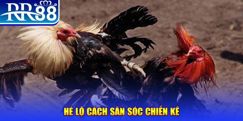 s8bet xổ số miền trung thứ tư
