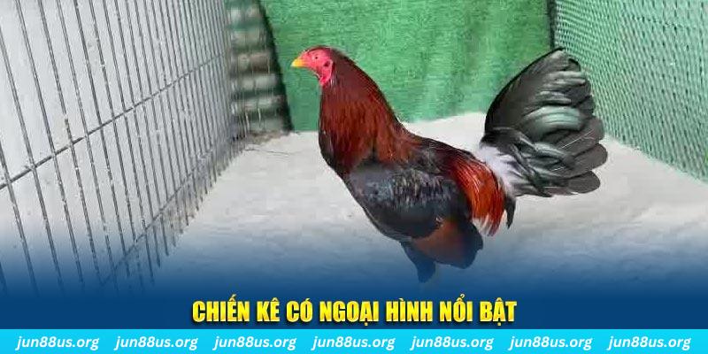 s8bet game bắn cá