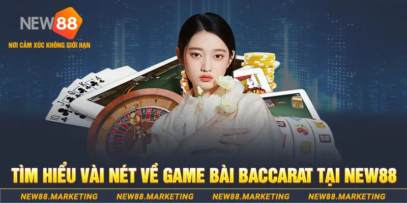 s8bet gà chọi c1 ô taxi