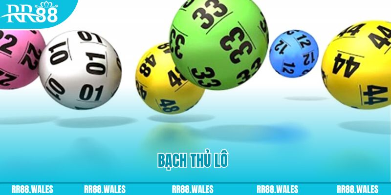 s8bet ÁT CHỦ MÁY HOA QUẢ THẦN TÀI