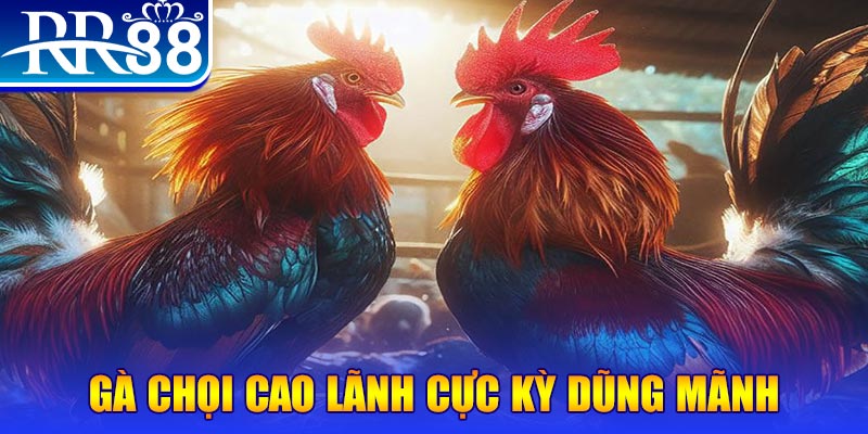 s8bet HB Điện Tử