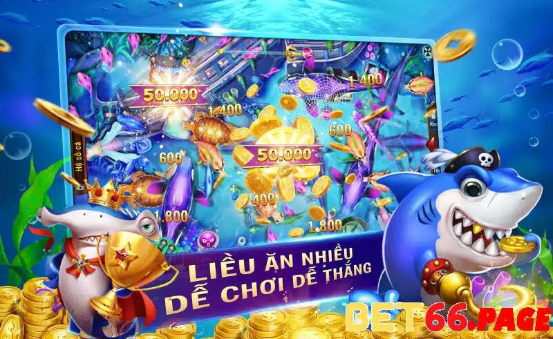 s8bet 1 slot là gì
