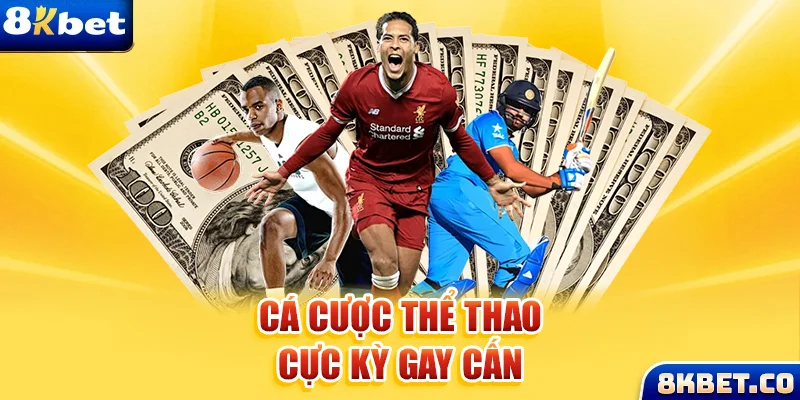 s8bet xem đá gà trực tiếp